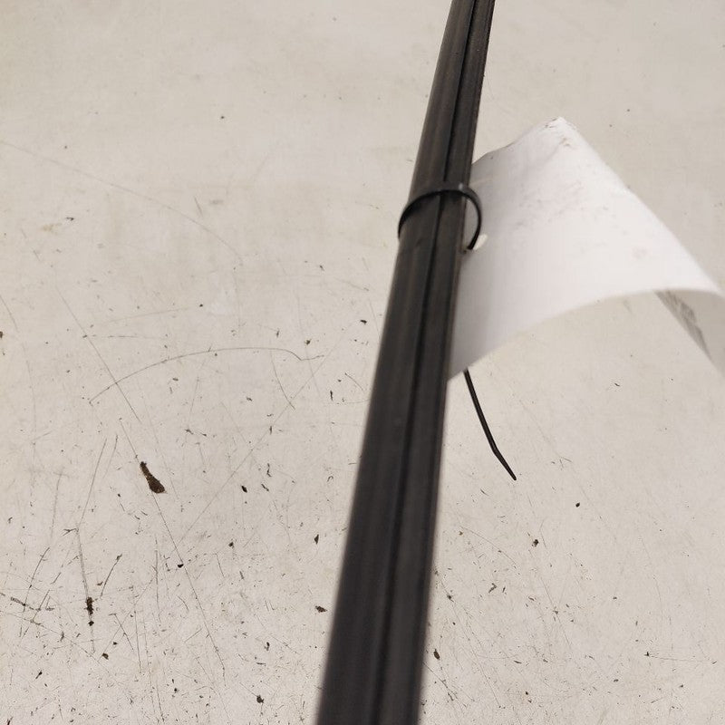Chevy Trax Door Glass Window Weather Strip Trim Rear Right Passenger S