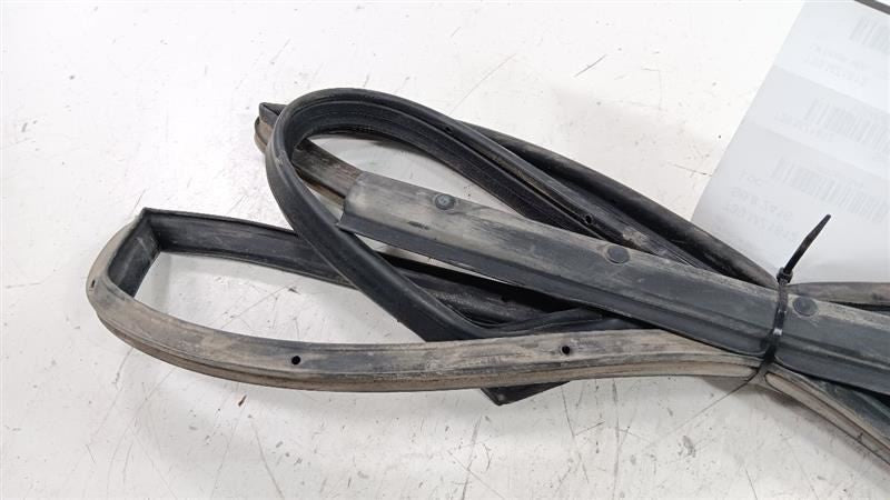 Mazda CX-9 On Door Seal Rubber Left Rear Back 2012 2011 2010  OEM