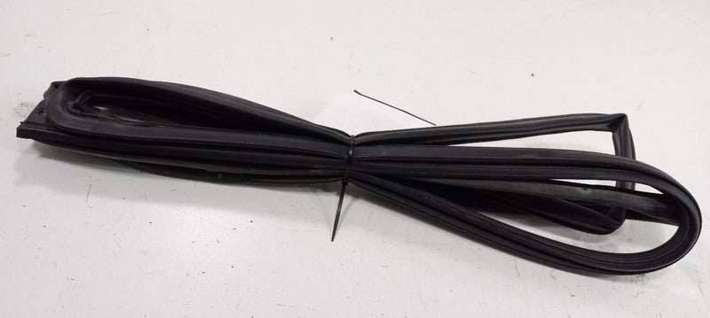 Kia Forte On Door Seal Rubber Right Passenger Front 2010 2011 2012 2013
