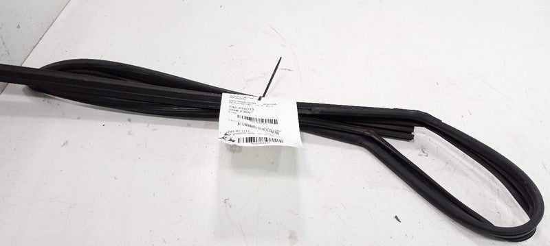 Kia Soul Door Glass Window Seal Rubber Right Passenger Front 2012 2013