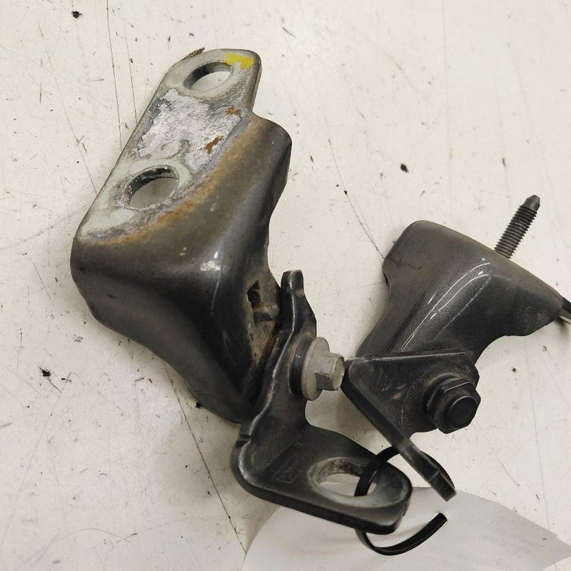 Ford Escape Door Hinge Set Right Front Passenger  2022 2023 2024