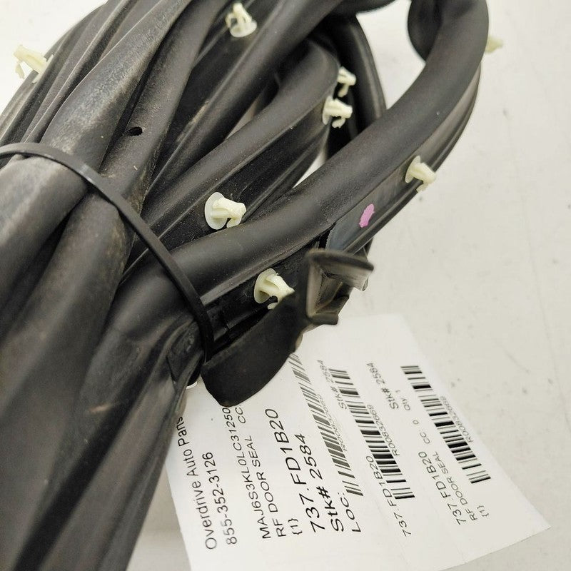 Ford Ecosport On Door Seal Rubber Right Passenger Front  2020 2021 202