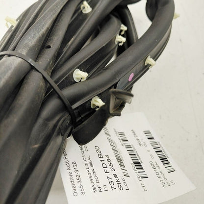 Ford Ecosport On Door Seal Rubber Right Passenger Front  2020 2021 202