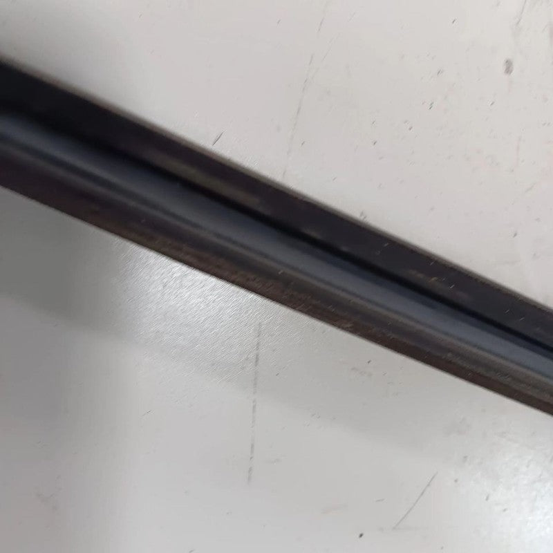 FIAT 500 Door Glass Window Weather Strip Trim Front Left Driver  2017 