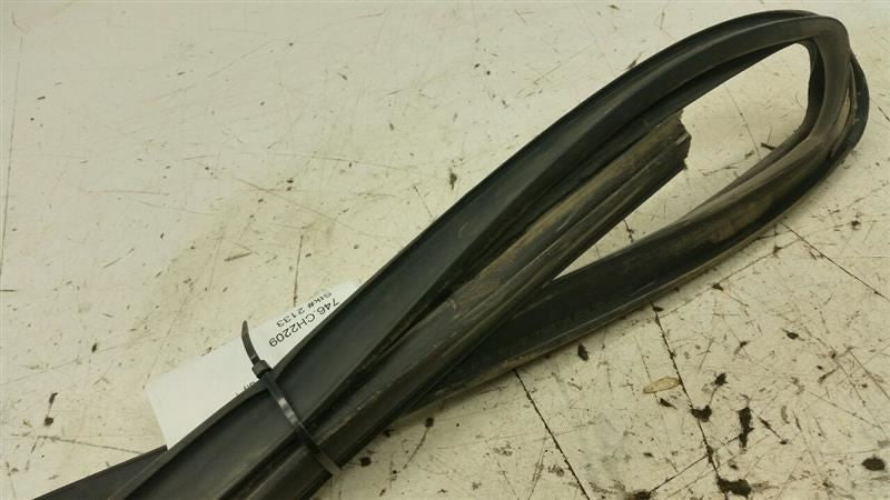 Dodge Journey Door Glass Window Seal Rubber Gasket Right Passenger Rear 2009