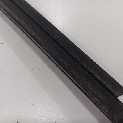 Ford Ecosport Door Glass Window Weather Strip Trim Front Right Passeng