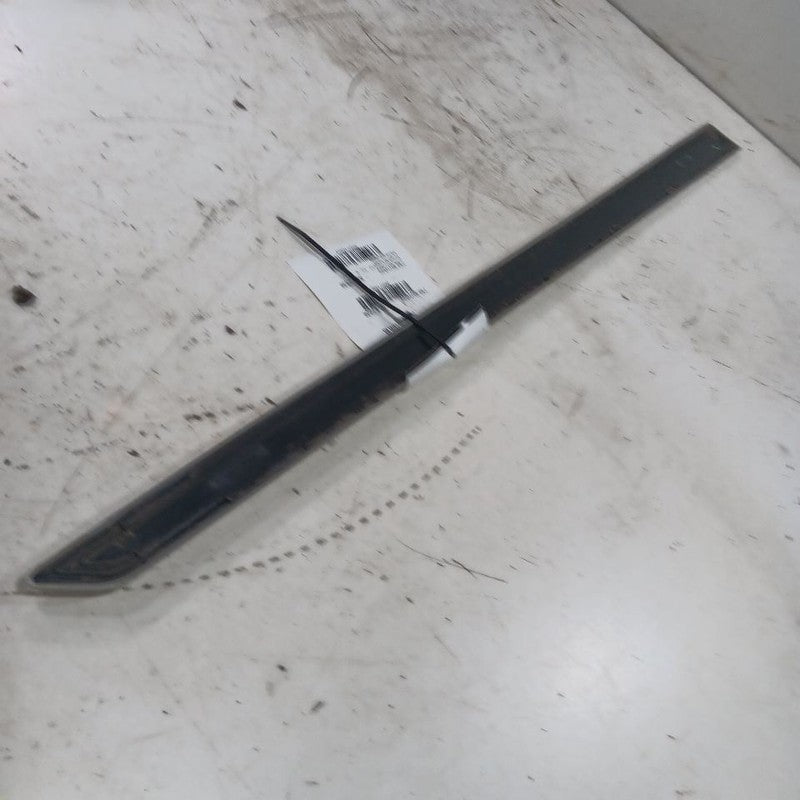 Outback Legacy Door Molding Trim Strip Left Driver Front  2025 2024 20