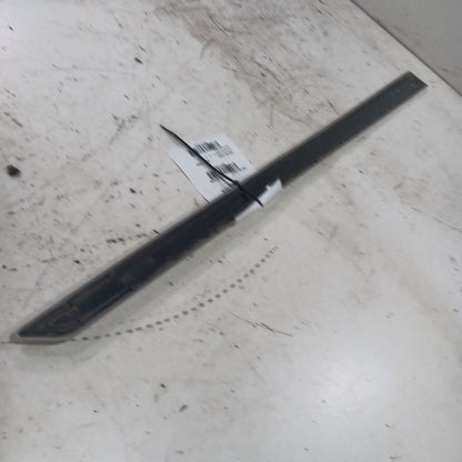 Outback Legacy Door Molding Trim Strip Left Driver Front  2025 2024 20