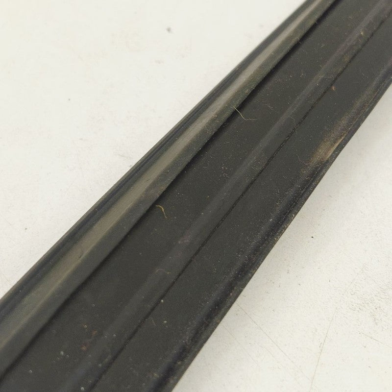 Chevy Trailblazer Door Glass Window Seal Rubber Left Driver Rear Back 