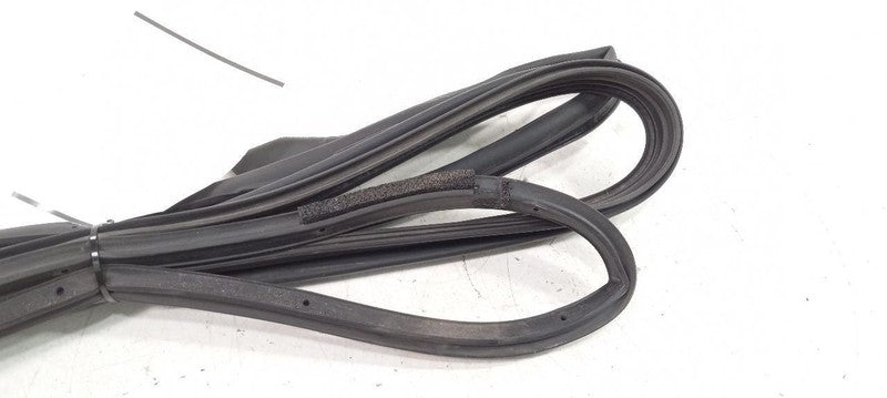 Lexus GS350 On Door Seal Rubber Right Passenger Front 2007 2008 2009 O