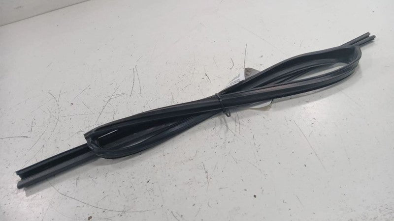 Infiniti G37 Door Glass Window Seal Rubber Left Rear Back  2009 2010 2011