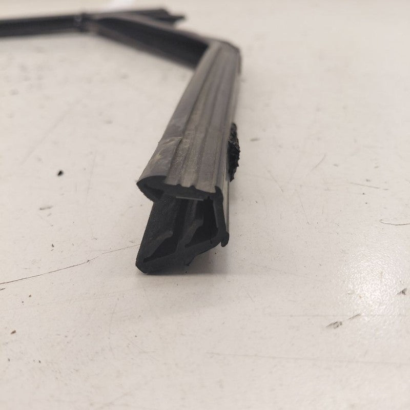 Ford Edge Door Glass Window Seal Rubber Left Driver Rear Back  2019 20