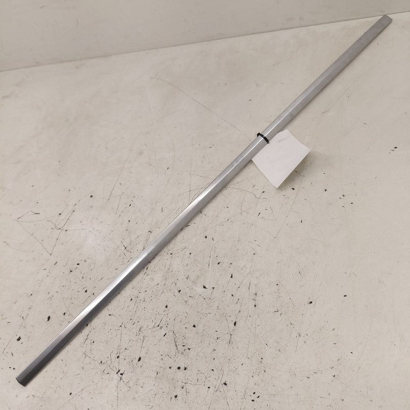 Cadillac CT6 Door Molding Trim Strip Left Driver Front  2018 2017 2016