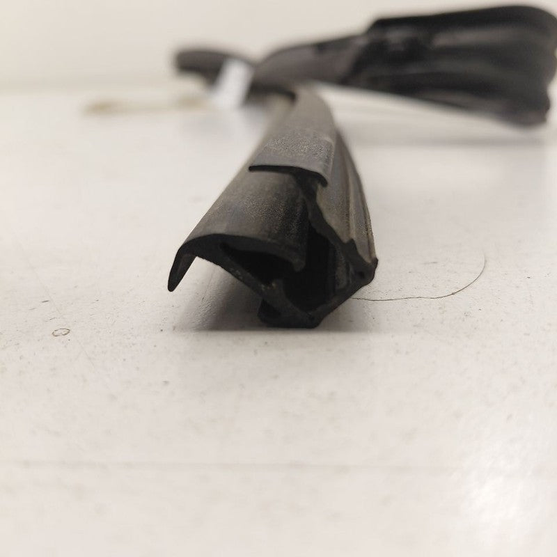 Honda Clarity Door Glass Window Seal Rubber Left Driver Front  2018 20