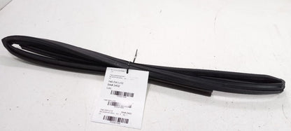 Nissan Altima Door Glass Window Seal Rubber Right Passenger Rear Back 
