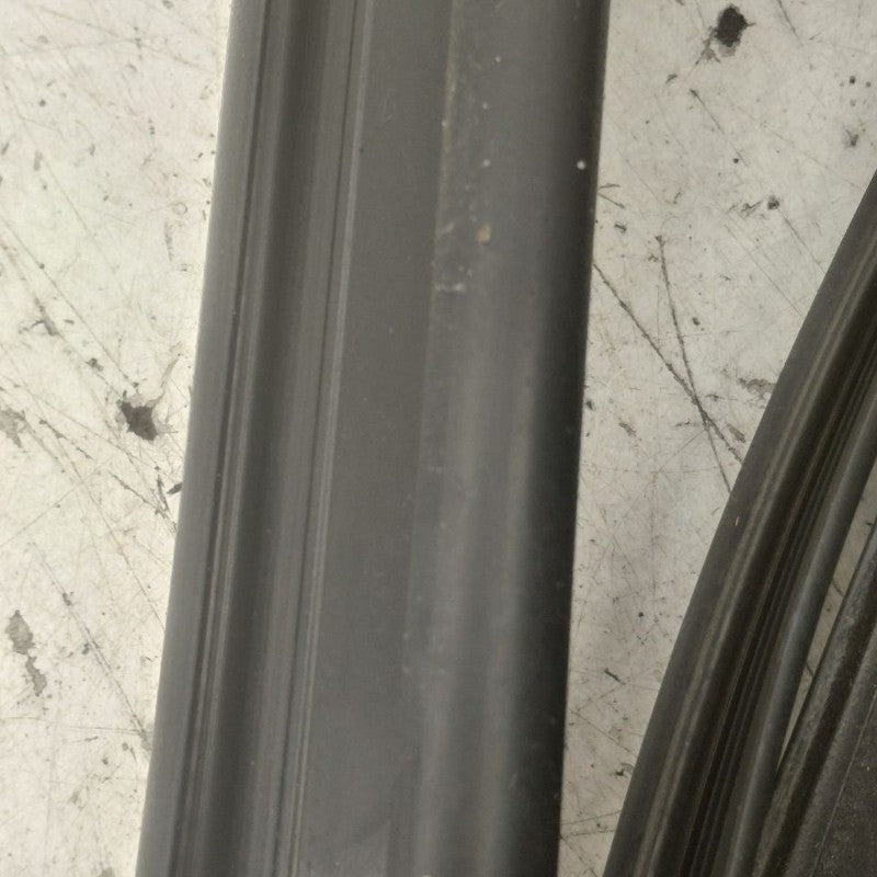 Hyundai Santa Fe Door Glass Window Seal Rubber Left Driver Rear Back  