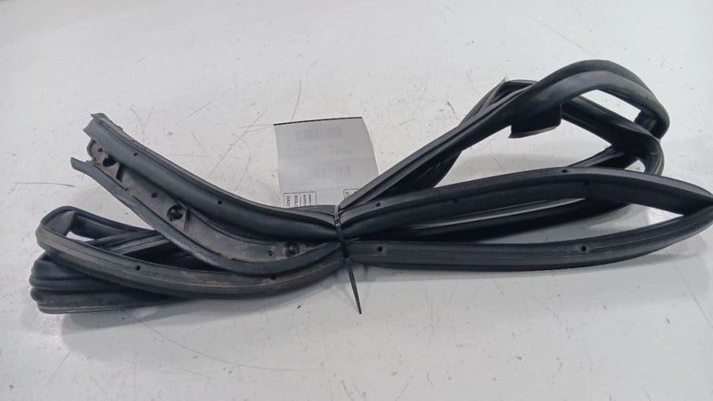 Infiniti G37 On Door Seal Rubber Left Rear Back  2011 2012 2013