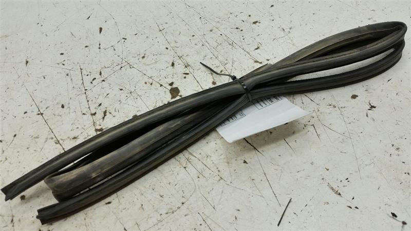 Nissan Sentra On Door Seal Rubber Gasket Right Passenger Front 2004 20