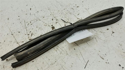 Nissan Sentra On Door Seal Rubber Gasket Right Passenger Front 2004 20