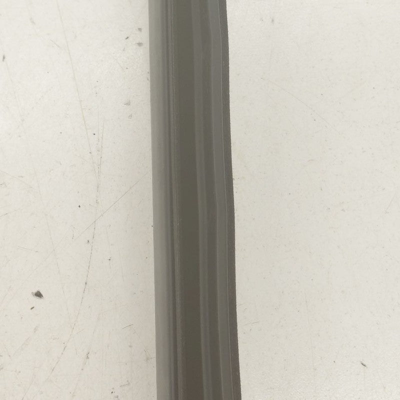 Buick Encore GX Door Glass Window Weather Strip Trim Rear Left Driver 