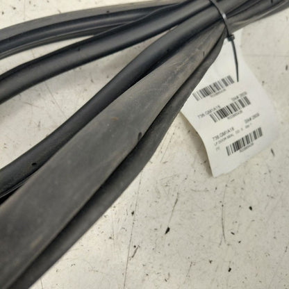 Chevy Volt On Door Seal Rubber Left Driver Front  2019 2018 2017 2016