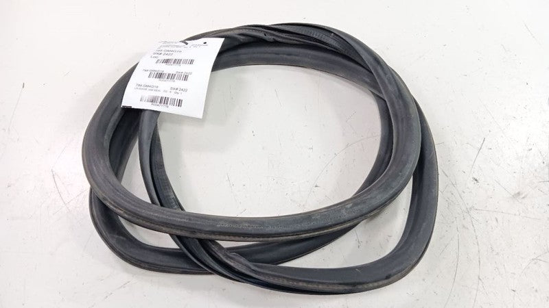 Buick Encore On Body Door Jamb Seal Rear Left Back 2016 2017 2018 2019