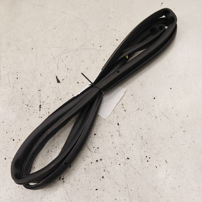 Cadillac CT6 On Door Seal Rubber Left Driver Front  2018 2017 2016