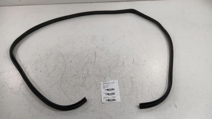 Hyundai Sonata On Body Door Jamb Seal Front Right Passenger 2011 2012 
