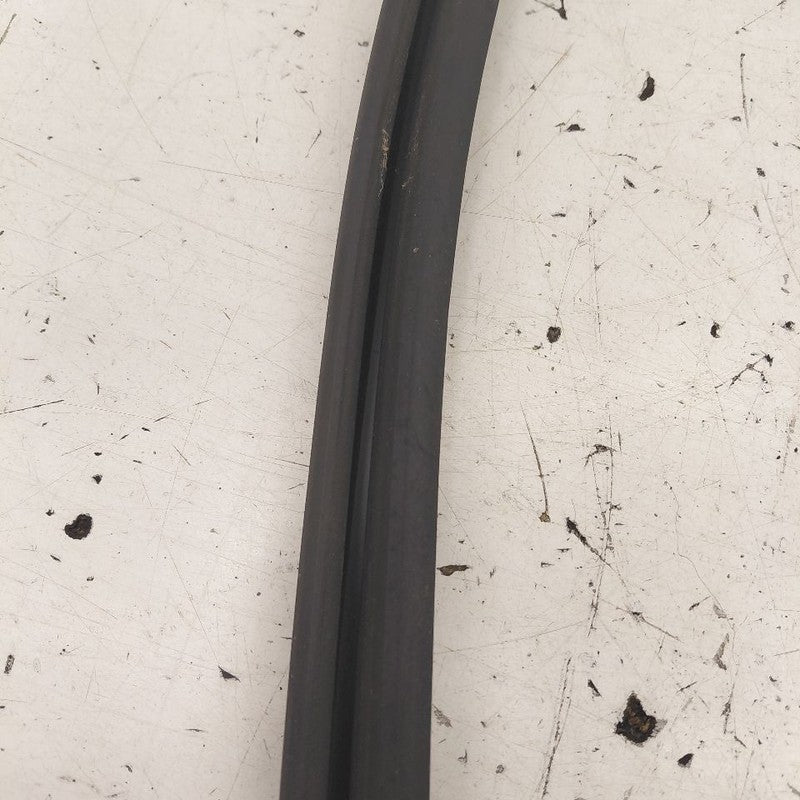 Buick Encore GX Door Glass Window Seal Rubber Left Driver Front  2022 