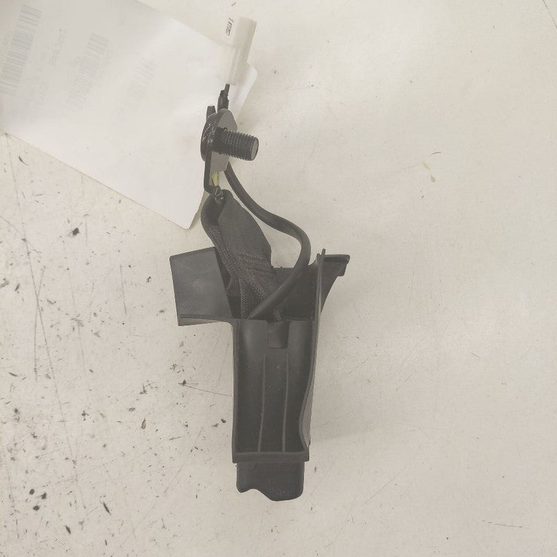 Lexus NX350 Seat Belt Buckle Latch Right Passenger Rear Back 2022 2023