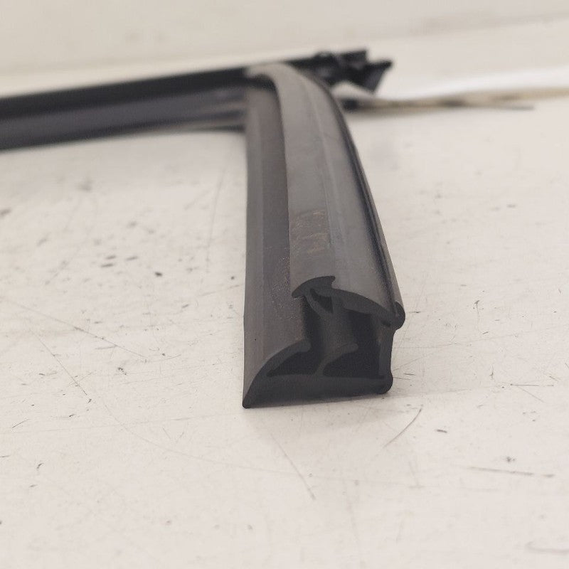 Buick Encore GX Door Glass Window Seal Rubber Left Driver Front  2022 