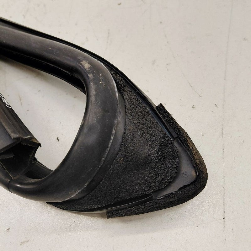 Ford Ecosport Door Glass Window Seal Rubber Left Driver Front  2020 20