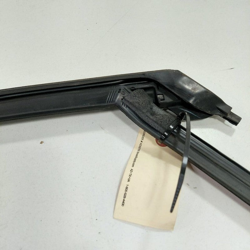 Ford Edge Door Glass Window Seal Rubber Right Passenger Rear Back 2019