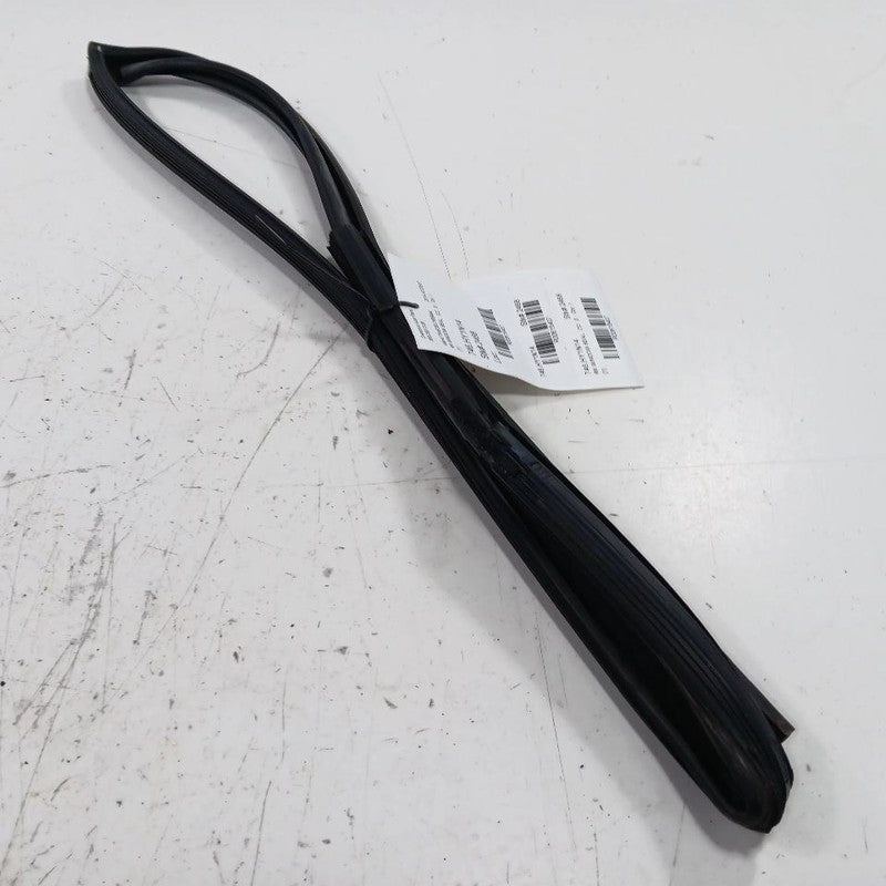 Hyundai Accent Door Glass Window Seal Rubber Right Passenger Rear Back  2012 201