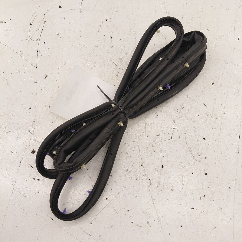 Chevy Volt On Door Seal Rubber Right Passenger Rear Back  2016 2017 20