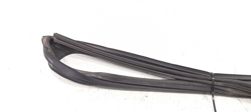 Lexus GS350 Door Glass Window Seal Rubber Left Rear Back 2007 2008 200