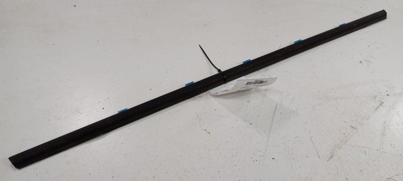 Hyundai Elantra Door Glass Window Weather Strip Trim Rear Left Back 2012