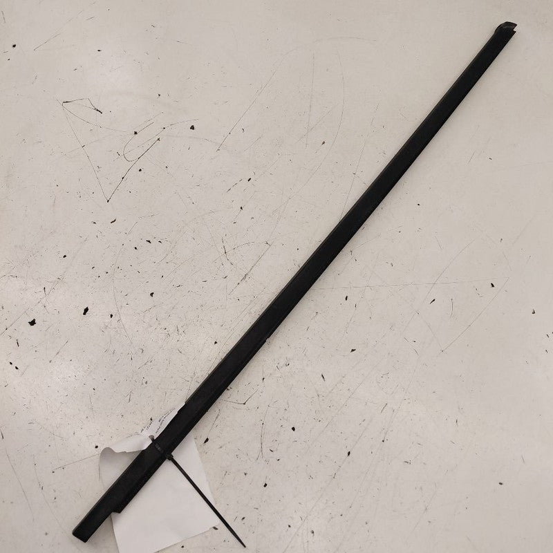 Chevy Volt Door Glass Window Weather Strip Trim Front Right Passenger 