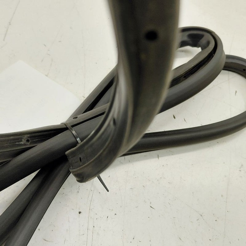 Buick Encore GX On Door Seal Rubber Left Driver Front  2020 2021 2022 