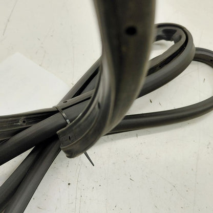 Buick Encore GX On Door Seal Rubber Left Driver Front  2020 2021 2022 