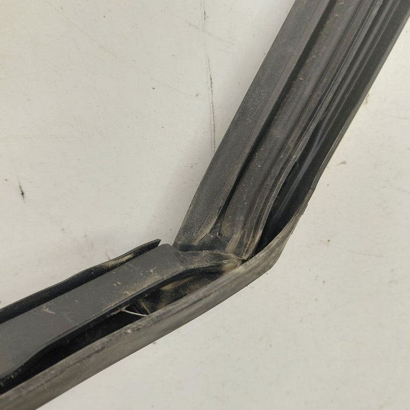 Chevy Volt Door Glass Window Seal Rubber Left Driver Front  2019 2018 