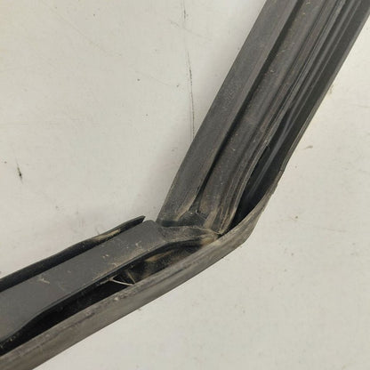 Chevy Volt Door Glass Window Seal Rubber Left Driver Front  2019 2018 