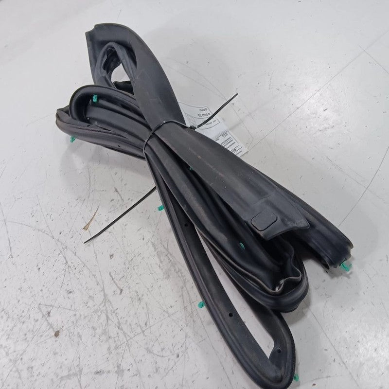 Buick Encore On Door Seal Rubber Left Rear Back  2018 2019 2020 OEM