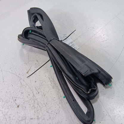 Buick Encore On Door Seal Rubber Left Rear Back  2018 2019 2020 OEM