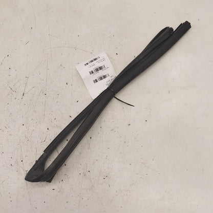 Toyota Prius Door Glass Window Seal Rubber Right Passenger Rear Back  