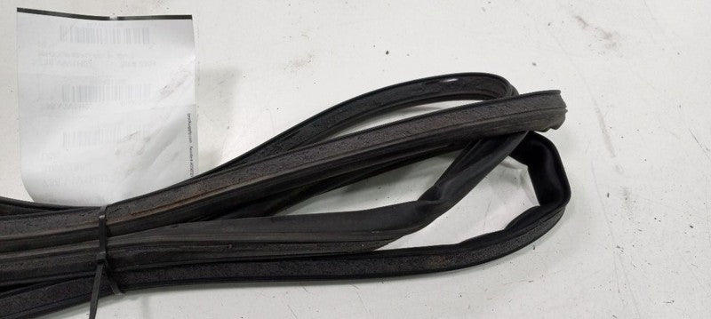 Volkswagen Rabbit On Door Seal Rubber Right Passenger Rear Back 2006 2