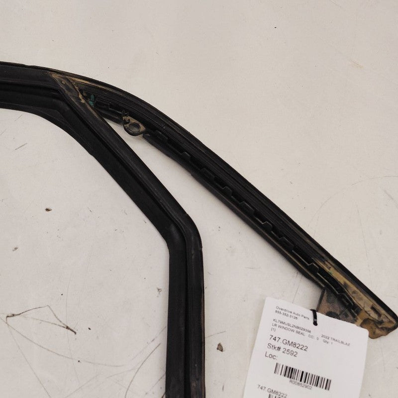 Chevy Trailblazer Door Glass Window Seal Rubber Left Driver Rear Back 