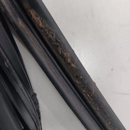 Toyota Prius C Door Glass Window Seal Rubber Left Rear Back  2017 2016