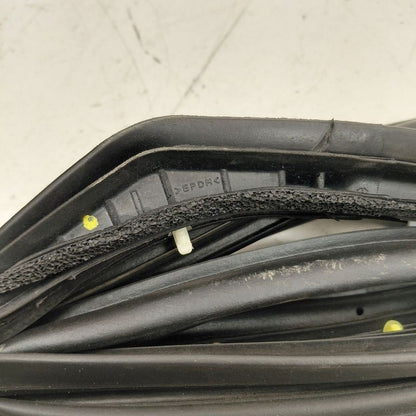 Nissan Versa On Door Seal Rubber Left Driver Front  2024 2023 2022 202