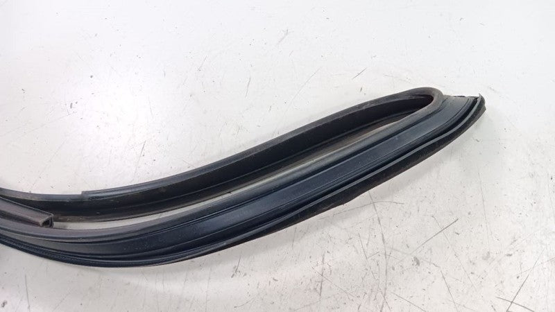 Volkswagen Golf Door Glass Window Seal Rubber Left Driver Front 2010 2